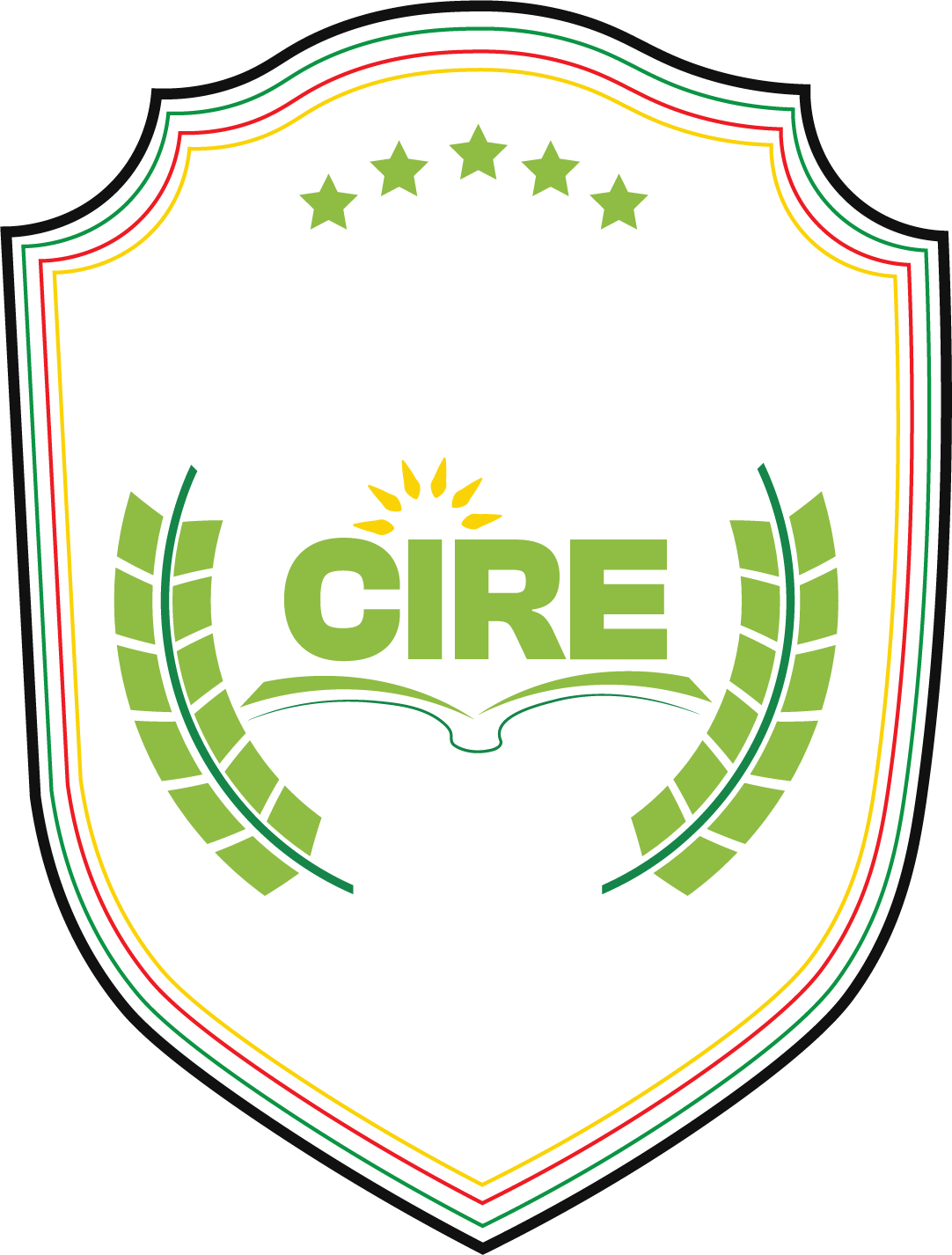 Cameroon Institute Of Renewable Energy